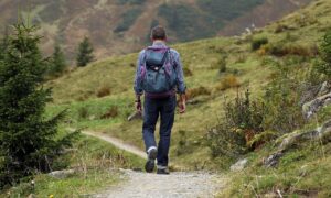 O poder da caminhada: Transformando seu bem-estar e sua forma física