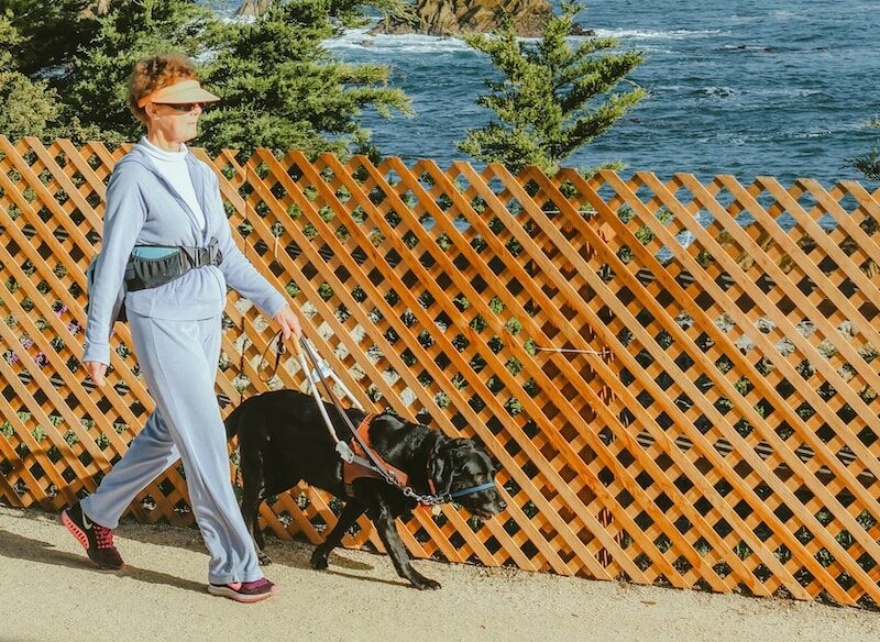 woman with dog walking beside lattice fence