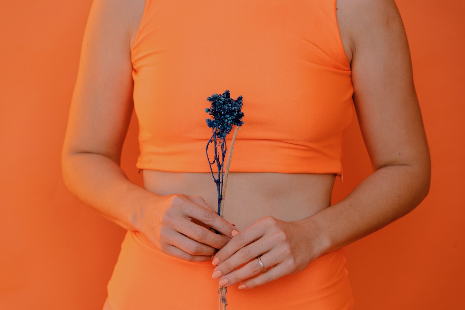 woman holding blue petaled flower