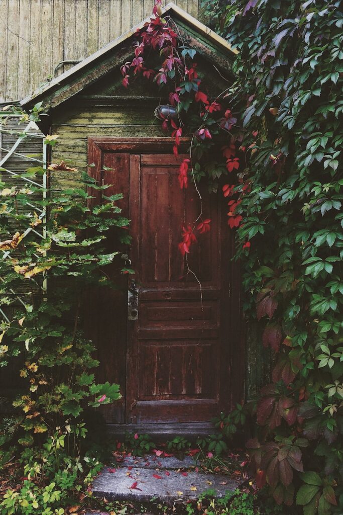 photo f brown wooden door with red and green leaf plants