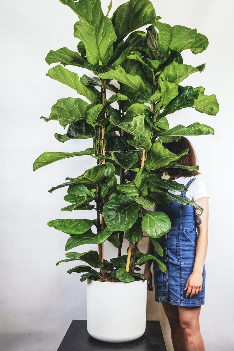 a woman standing next to a large potted plant
