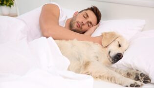 6 Coisas que você não sabia sobre dormir com o seu cãozinho