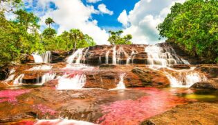 Caño Cristales: Um mar de beleza e cor natural escondido na Colômbia