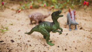 O que são Dinossauroides? Qual a origem e quem descobriu a espécie?