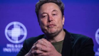 Elon Musk e o America PAC: coleta de dados ou incentivo ao voto?