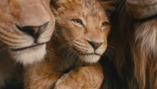 Novos capítulos na savana! Trailer de ‘Mufasa’ aquece corações dos fãs