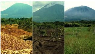 Casca de Laranja: Uma Experiência que Mudou a Natureza para Sempre