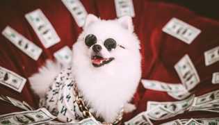 Regras de Vida Para Gerenciar Suas Finanças