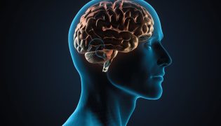 O Impacto Das Redes Sociais No Cérebro: Uma Reflexão Urgente